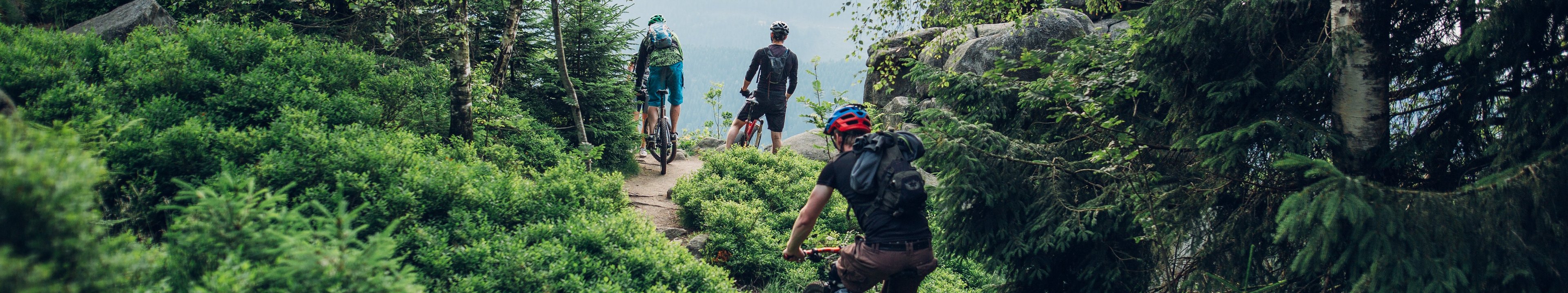 Mountainbiker im Harz